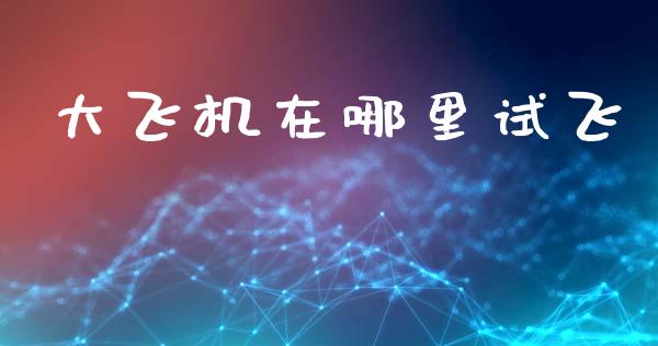 大飞机在哪里试飞_https://wap.jnbaishite.cn_期货资讯_第1张