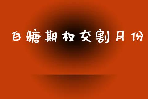 白糖期权交割月份_https://wap.jnbaishite.cn_理财投资_第1张