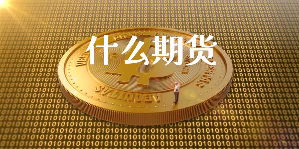 什么期货_https://wap.jnbaishite.cn_理财投资_第1张