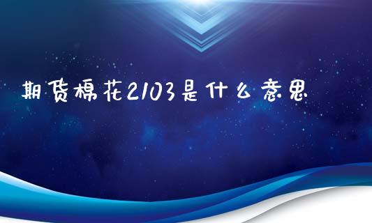 期货棉花2103是什么意思_https://wap.jnbaishite.cn_金融资讯_第1张