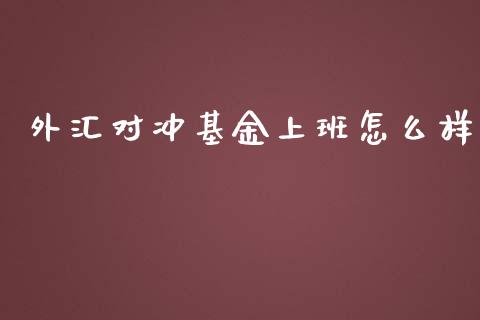 外汇对冲基金上班怎么样_https://wap.jnbaishite.cn_期货资讯_第1张
