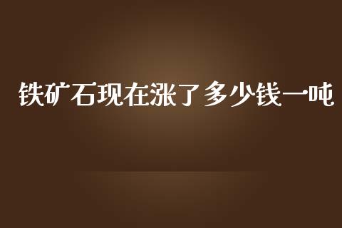 铁矿石现在涨了多少钱一吨_https://wap.jnbaishite.cn_期货资讯_第1张