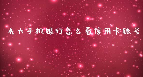 光大手机银行怎么看信用卡账号_https://wap.jnbaishite.cn_金融资讯_第1张