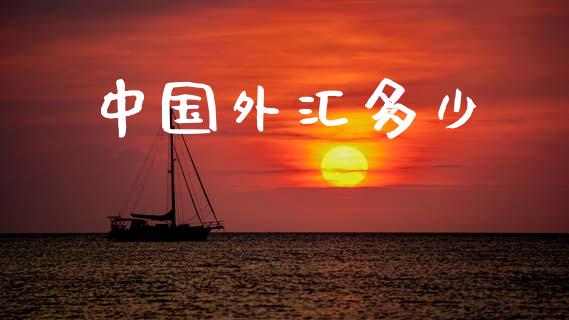 中国外汇多少_https://wap.jnbaishite.cn_理财投资_第1张