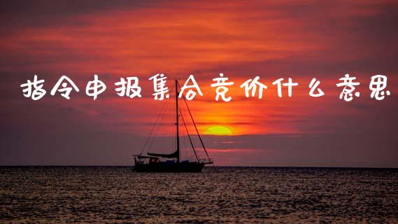 指令申报集合竞价什么意思_https://wap.jnbaishite.cn_全球财富_第1张