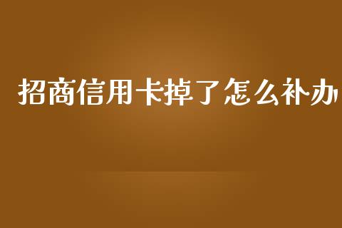 招商信用卡掉了怎么补办_https://wap.jnbaishite.cn_全球财富_第1张