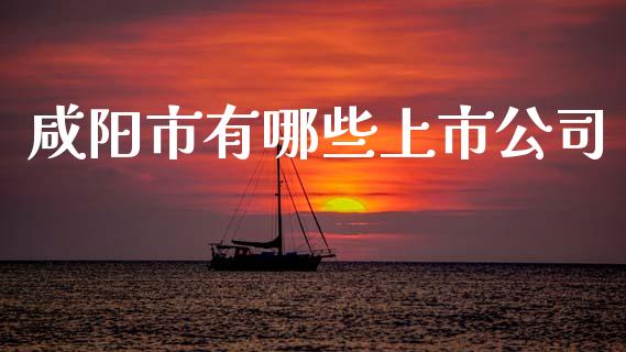 咸阳市有哪些上市公司_https://wap.jnbaishite.cn_理财投资_第1张