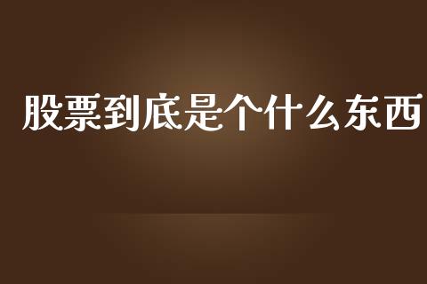 股票到底是个什么东西_https://wap.jnbaishite.cn_金融资讯_第1张