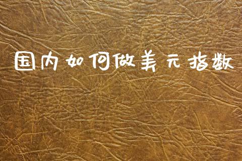 国内如何做美元指数_https://wap.jnbaishite.cn_全球财富_第1张