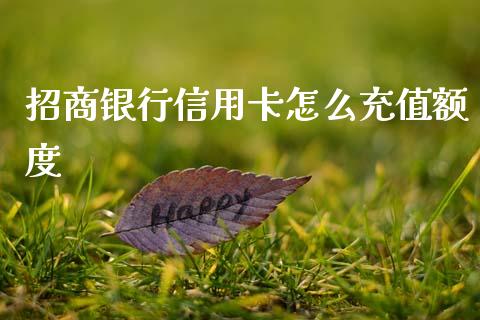 招商银行信用卡怎么充值额度_https://wap.jnbaishite.cn_理财投资_第1张
