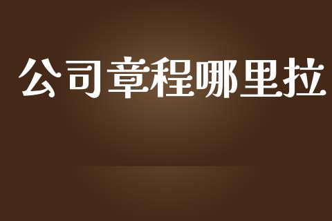 公司章程哪里拉_https://wap.jnbaishite.cn_理财投资_第1张