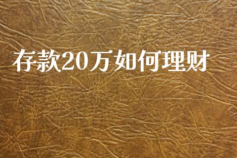 存款20万如何理财_https://wap.jnbaishite.cn_金融资讯_第1张