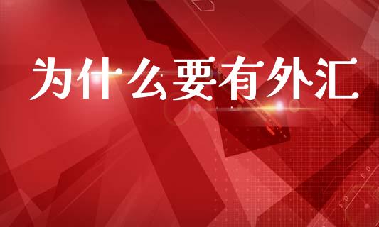 为什么要有外汇_https://wap.jnbaishite.cn_金融资讯_第1张