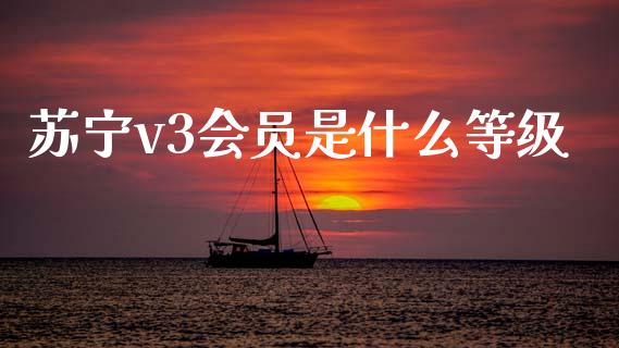 苏宁v3会员是什么等级_https://wap.jnbaishite.cn_全球财富_第1张