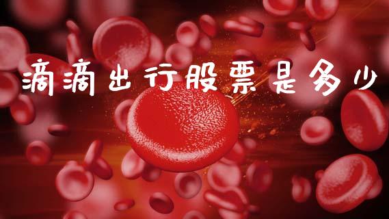 滴滴出行股票是多少_https://wap.jnbaishite.cn_期货资讯_第1张