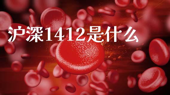 沪深1412是什么_https://wap.jnbaishite.cn_期货资讯_第1张