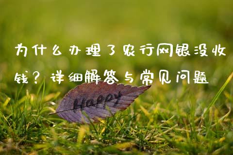 为什么办理了农行网银没收钱？详细解答与常见问题_https://wap.jnbaishite.cn_期货资讯_第1张
