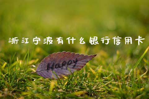 浙江宁波有什么银行信用卡_https://wap.jnbaishite.cn_全球财富_第1张