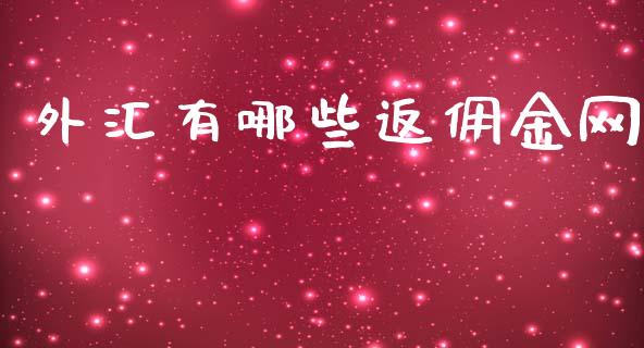 外汇有哪些返佣金网_https://wap.jnbaishite.cn_金融资讯_第1张