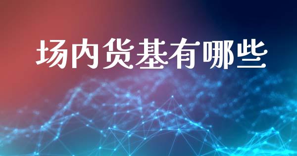 场内货基有哪些_https://wap.jnbaishite.cn_期货资讯_第1张