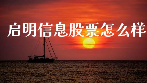 启明信息股票怎么样_https://wap.jnbaishite.cn_理财投资_第1张