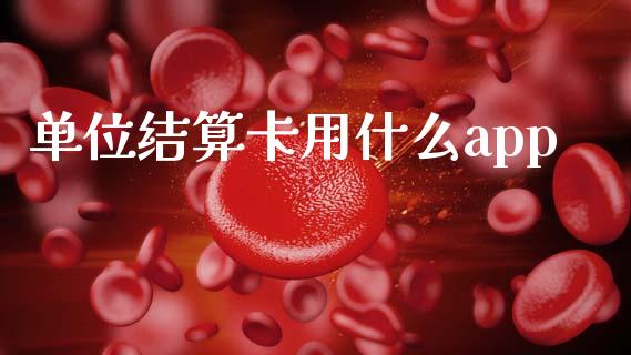 单位结算卡用什么app_https://wap.jnbaishite.cn_金融资讯_第1张