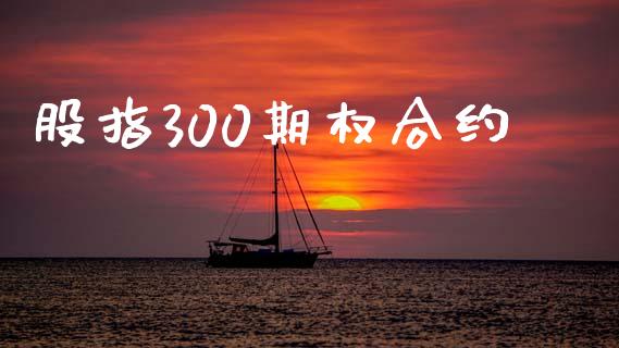 股指300期权合约_https://wap.jnbaishite.cn_期货资讯_第1张