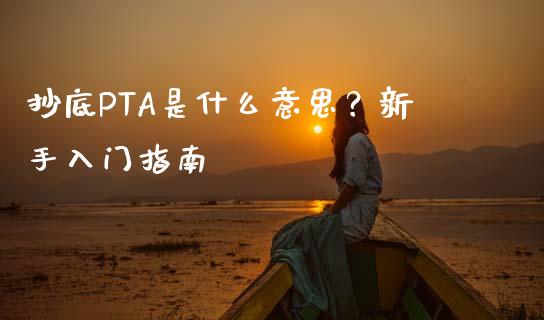 抄底PTA是什么意思？新手入门指南_https://wap.jnbaishite.cn_全球财富_第1张