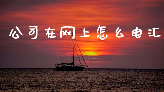 公司在网上怎么电汇_https://wap.jnbaishite.cn_金融资讯_第1张