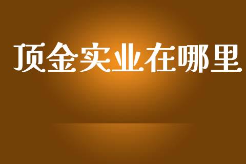 顶金实业在哪里_https://wap.jnbaishite.cn_理财投资_第1张