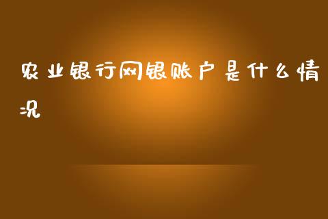 农业银行网银账户是什么情况_https://wap.jnbaishite.cn_金融资讯_第1张