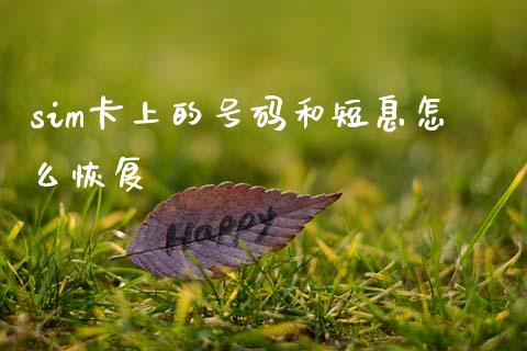 sim卡上的号码和短息怎么恢复_https://wap.jnbaishite.cn_期货资讯_第1张