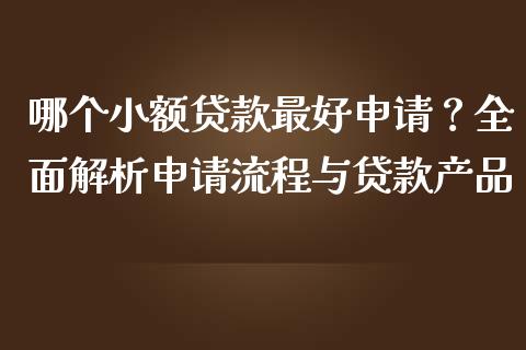哪个小额贷款最好申请？全面解析申请流程与贷款产品_https://wap.jnbaishite.cn_金融资讯_第1张