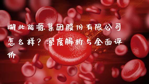 湖北能源集团股份有限公司怎么样？深度解析与全面评价_https://wap.jnbaishite.cn_理财投资_第1张