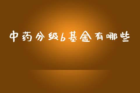 中药分级b基金有哪些_https://wap.jnbaishite.cn_理财投资_第1张