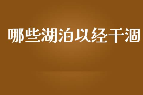 哪些湖泊以经干涸_https://wap.jnbaishite.cn_金融资讯_第1张