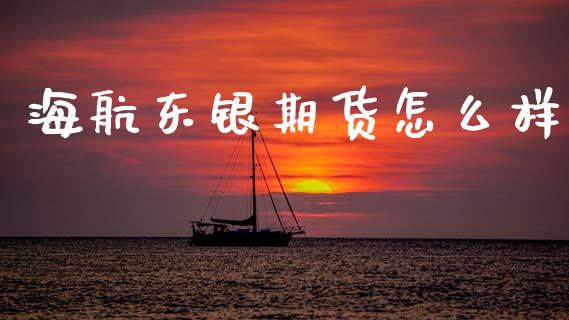 海航东银期货怎么样_https://wap.jnbaishite.cn_金融资讯_第1张