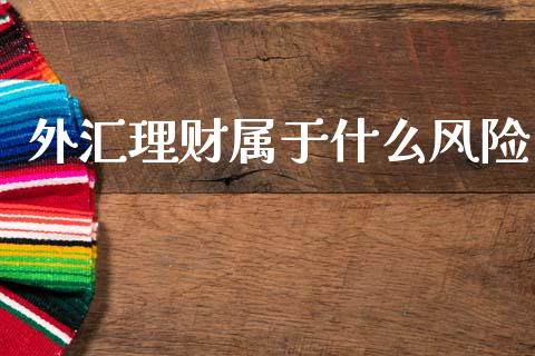 外汇理财属于什么风险_https://wap.jnbaishite.cn_理财投资_第1张