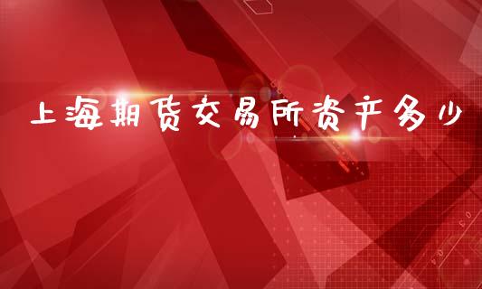 上海期货交易所资产多少_https://wap.jnbaishite.cn_期货资讯_第1张