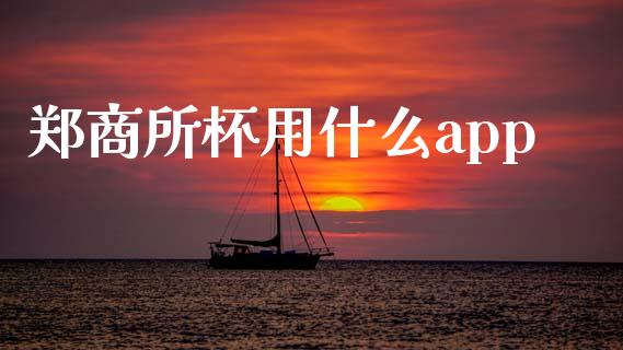 郑商所杯用什么app_https://wap.jnbaishite.cn_金融资讯_第1张