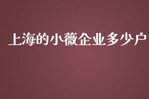 上海的小薇企业多少户_https://wap.jnbaishite.cn_金融资讯_第1张