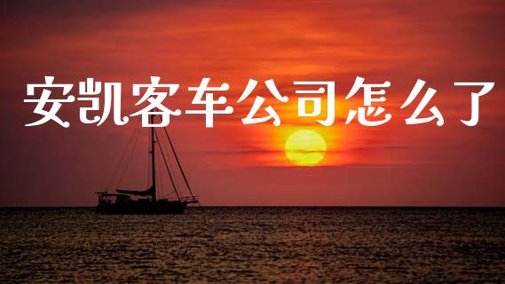 安凯客车公司怎么了_https://wap.jnbaishite.cn_理财投资_第1张