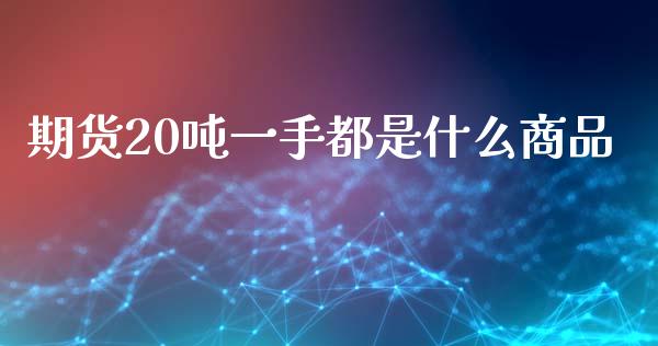 期货20吨一手都是什么商品_https://wap.jnbaishite.cn_金融资讯_第1张