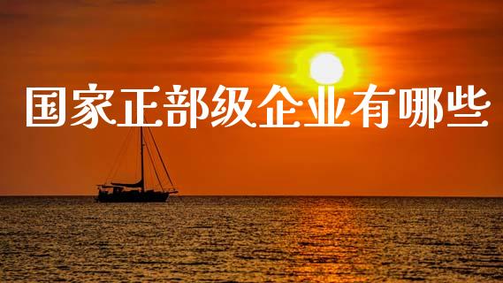 国家正部级企业有哪些_https://wap.jnbaishite.cn_期货资讯_第1张