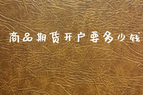 商品期货开户要多少钱_https://wap.jnbaishite.cn_全球财富_第1张
