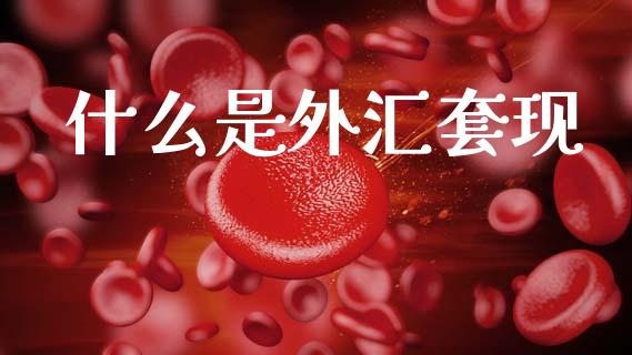 什么是外汇套现_https://wap.jnbaishite.cn_理财投资_第1张