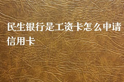 民生银行是工资卡怎么申请信用卡_https://wap.jnbaishite.cn_期货资讯_第1张