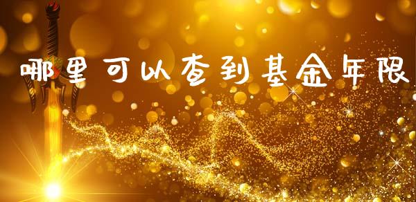 哪里可以查到基金年限_https://wap.jnbaishite.cn_金融资讯_第1张