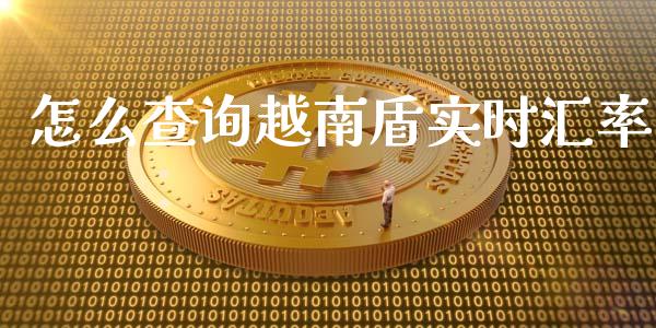 怎么查询越南盾实时汇率_https://wap.jnbaishite.cn_全球财富_第1张