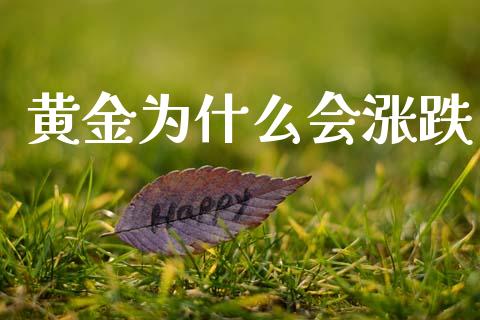 黄金为什么会涨跌_https://wap.jnbaishite.cn_理财投资_第1张